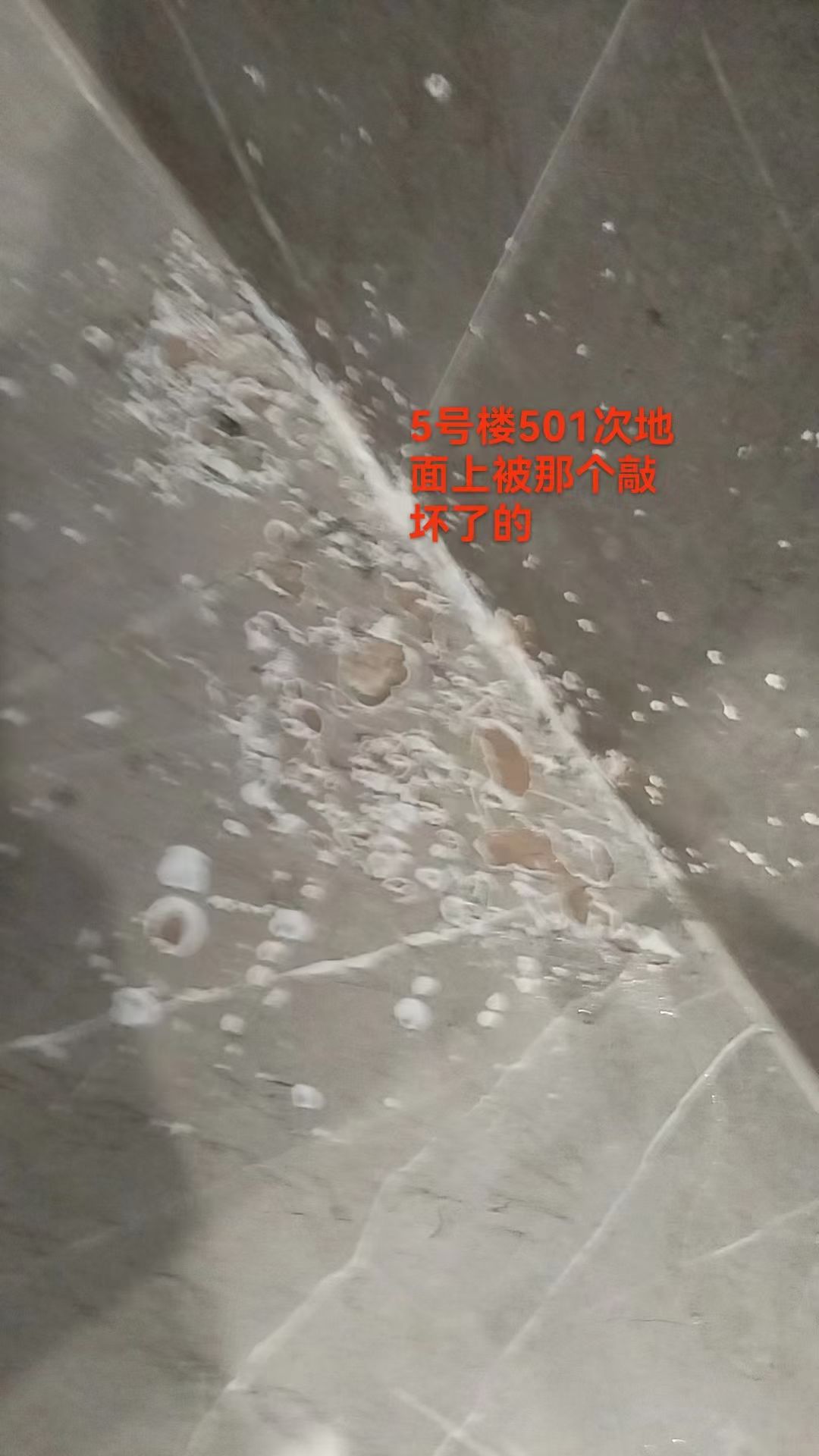 木石家具 美容精修 13684052899微信同号  请存备用