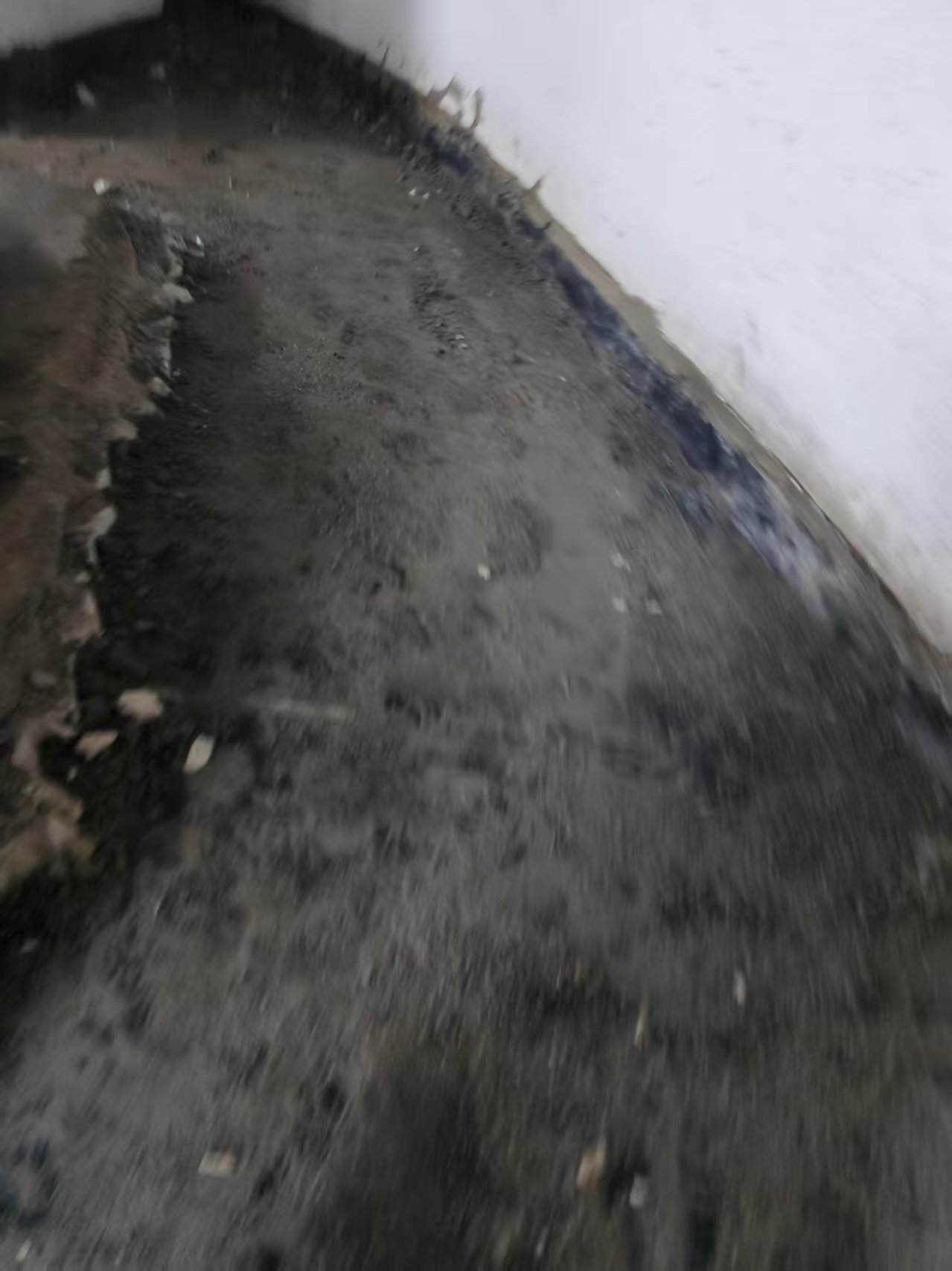 拆除建碴清运18123326868！！！！！15283839393