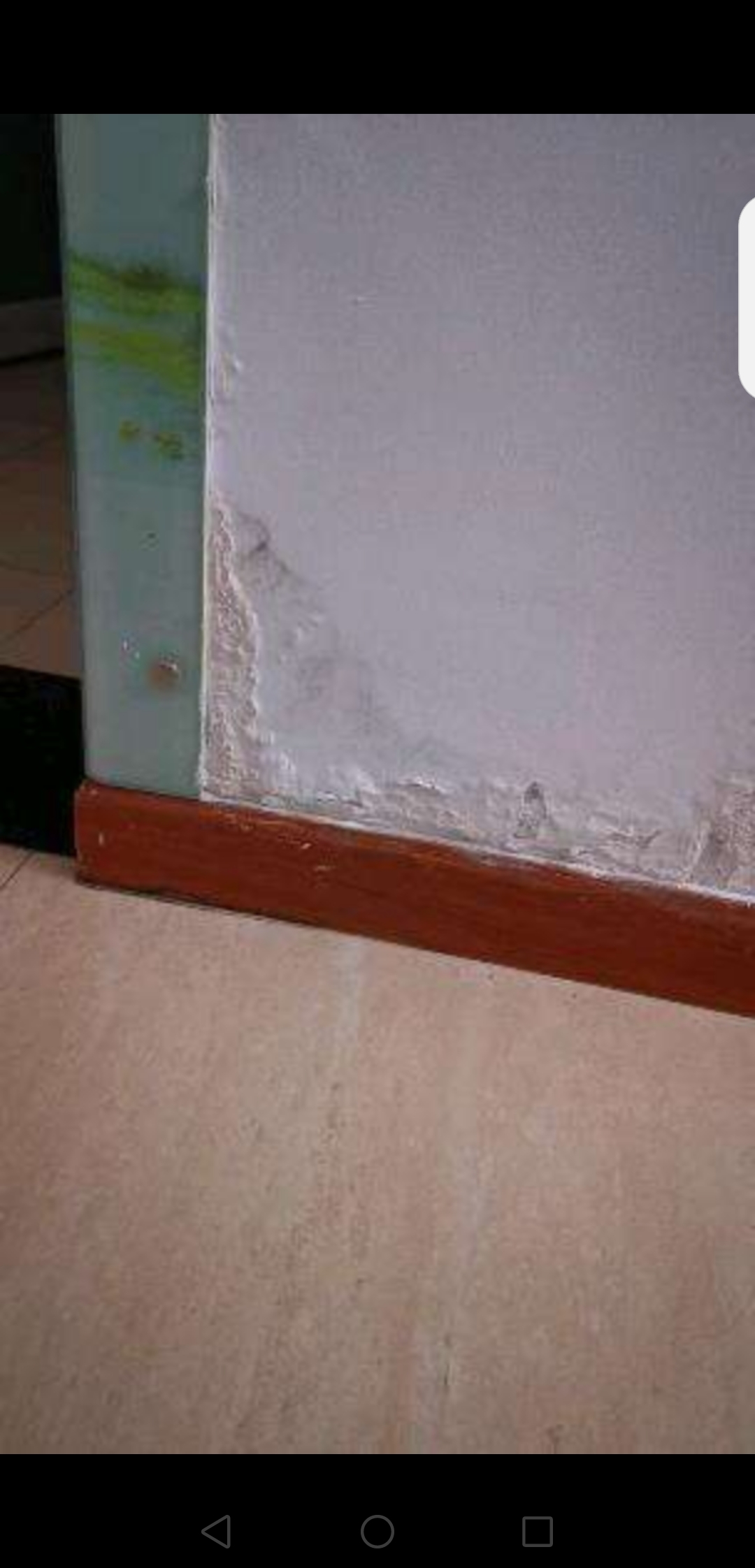 墙面返碱克星（陈学礼）