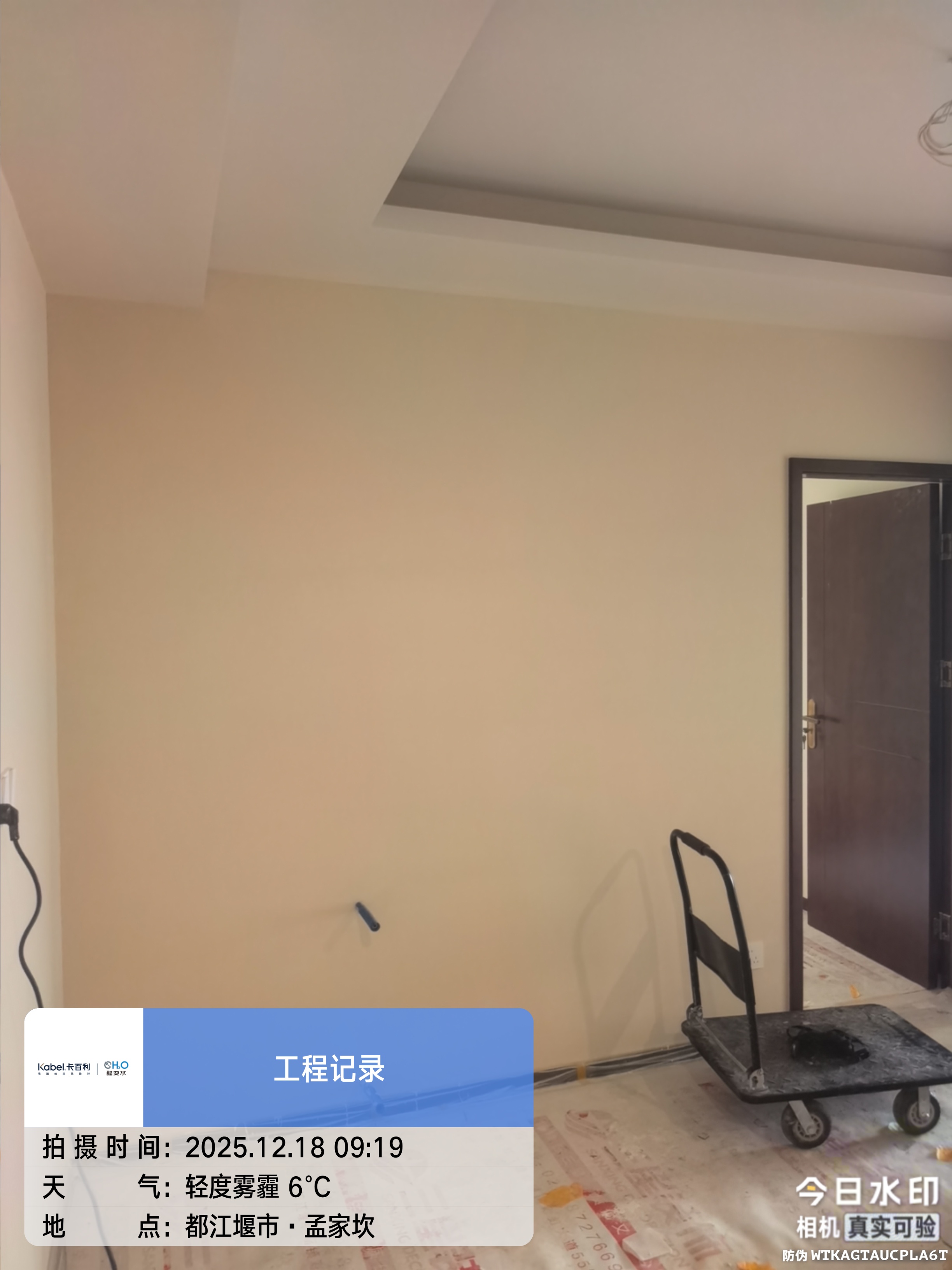 卡百利净醛艺术漆