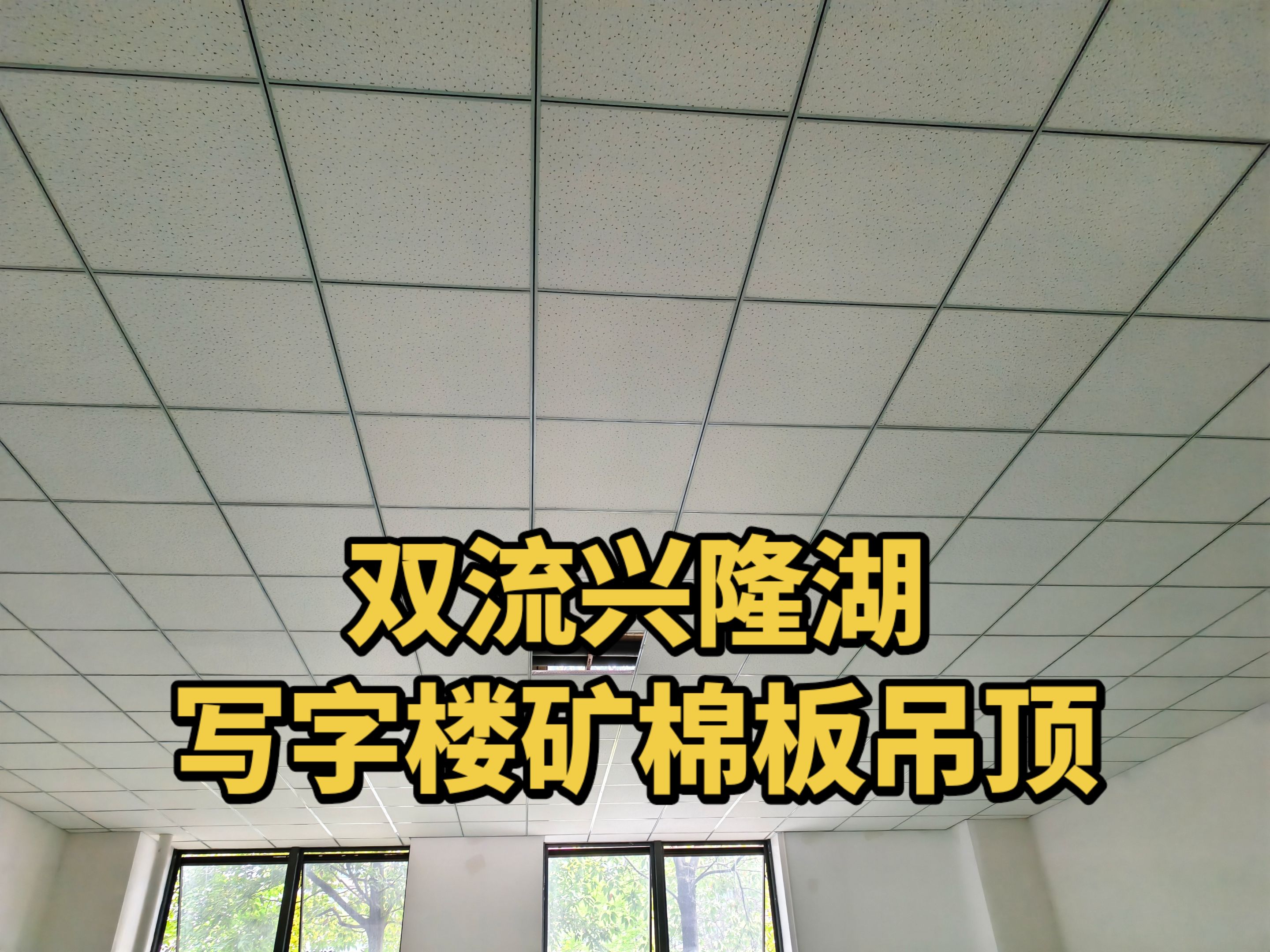 成都专业吊顶