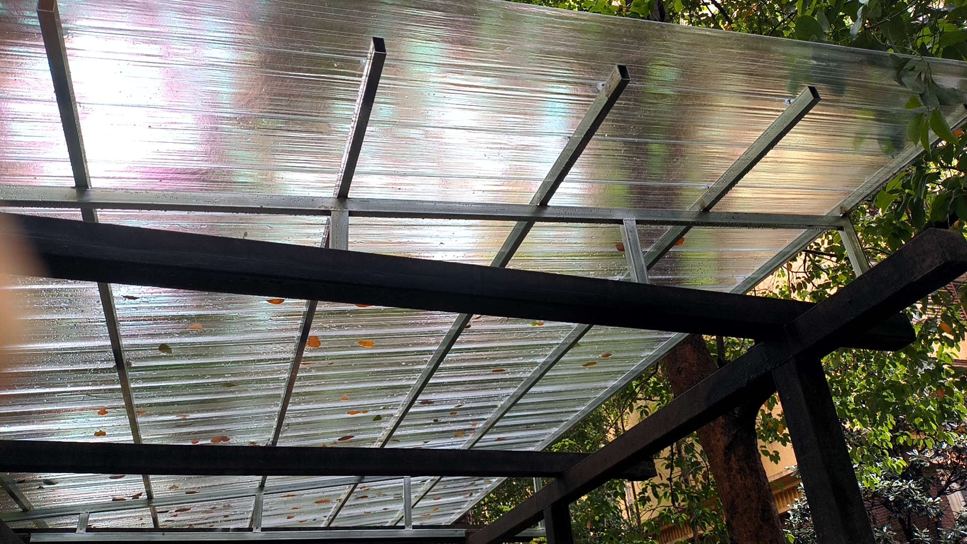 门窗，不锈钢防护栏，钢结构。