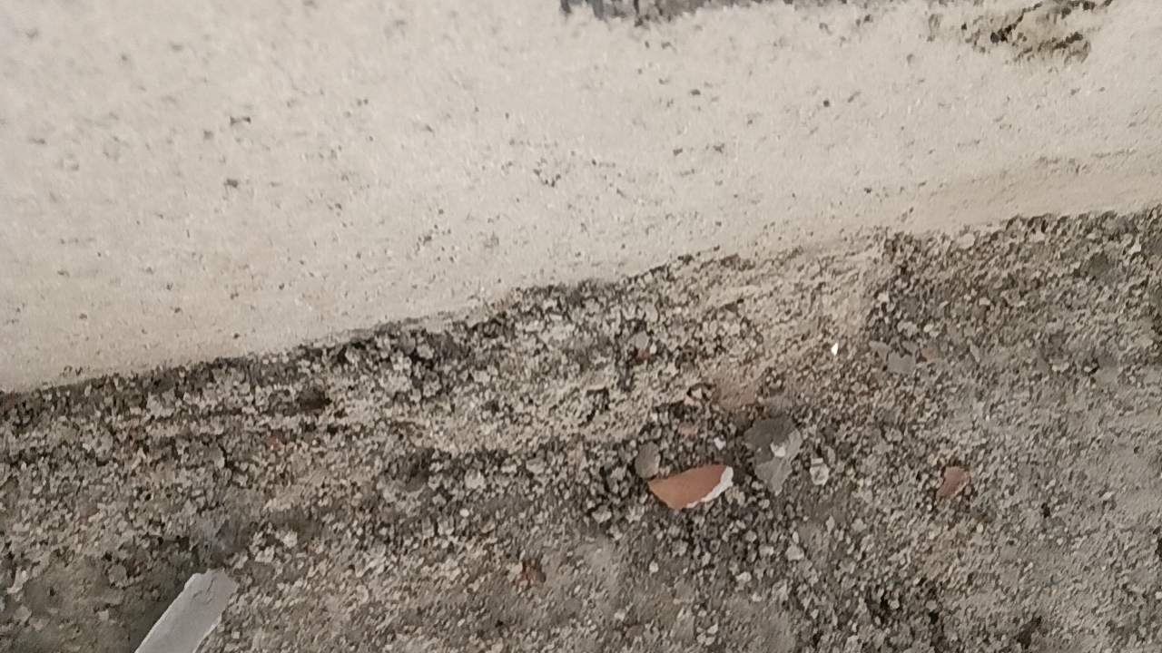 专业拆除砸墙清运